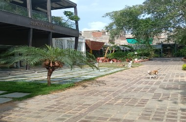 WhatsApp Image 2025-06-29 at 12.29.24 PM (1)