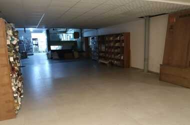 WhatsApp_Image_2025-06-29_at_12.28.44_PM_380x250