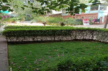 WhatsApp_Image_2025-06-29_at_12.29.24_PM_1_380x250